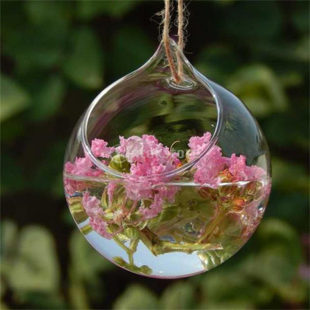 Terrarium Transparent Hanging Glass Vase