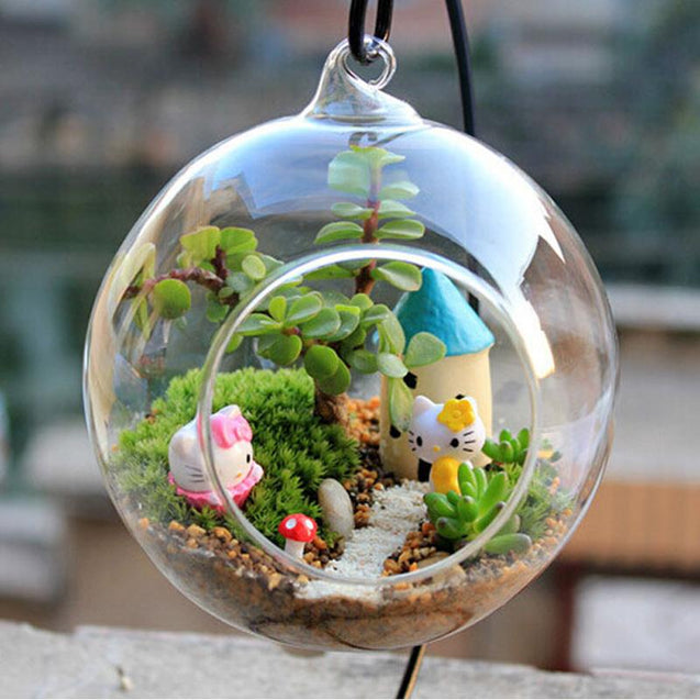Terrarium Transparent Hanging Glass Vase