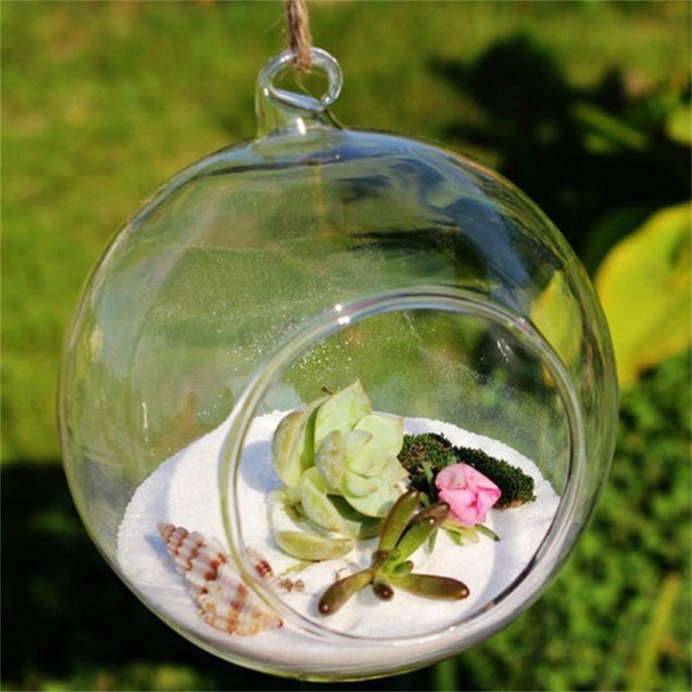 Terrarium Transparent Hanging Glass Vase